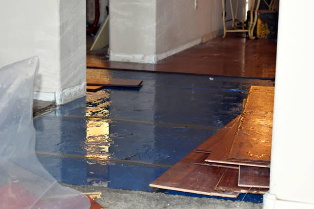 Professional Structural Drying technician working in Trafalgar, IN